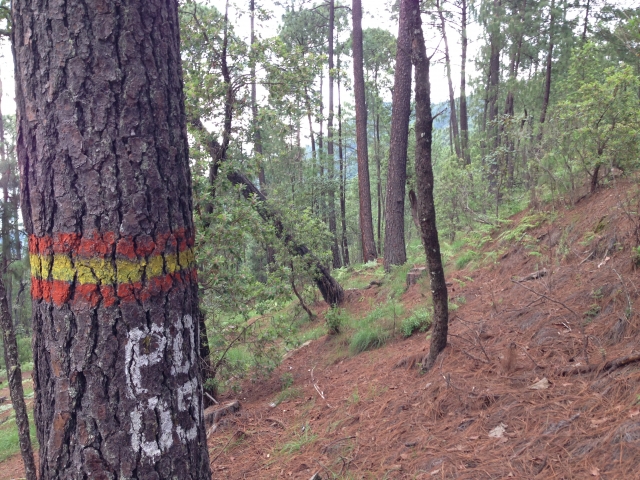 Rutas marcadas